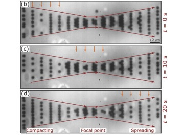 Combined Funnel, Concentrator, and Particle Valve Functional Element for Magnetophoretic Bead Transport Based on Engineered Magnetic Domain Patterns