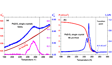 Weak low-temperature polarity in PbZrO3 single crystal