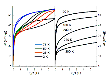 Emergence of Ferromagnetic State Due to Structural Disorder