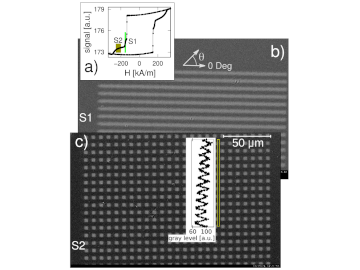 Reconfigurable ferrimagnetic Tb/Co based substrates for magnetophoresis