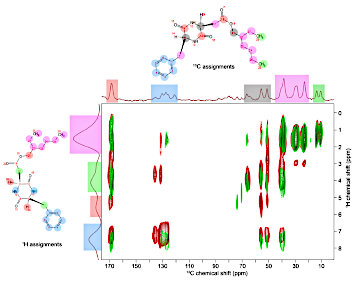 Translational Dynamics and Structural Enhancement Effect in High-Temperature  supramolecular Systems of Asparaginyl Low-Molecular-Weight Gelators and Propylene Carbonate