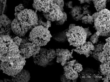 Rys. 2. Różne formy nano- i mikrokryształów żelazianu bizmutu BiFeO3 (synteza dr K. Chybczyńska).