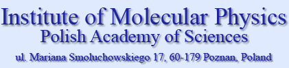 Institute of Molecular Physics, Polish Academy of Sciences, ul. Mariana Smoluchowskiego 17, 60-179 Poznań, Poland