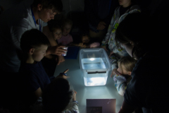 Noc Naukowcow 2025 - 26 wrzesnia, IFM PAN