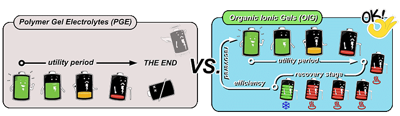 Polymer Gel Electrolytes (PGE) vs. Organic Ionic Gels (OIG)