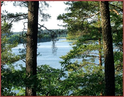 lake.jpg