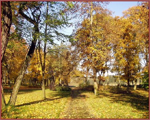 park3.jpg