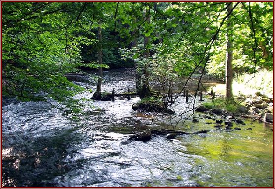 river1.jpg